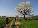 Enduro Nord Milano - 08